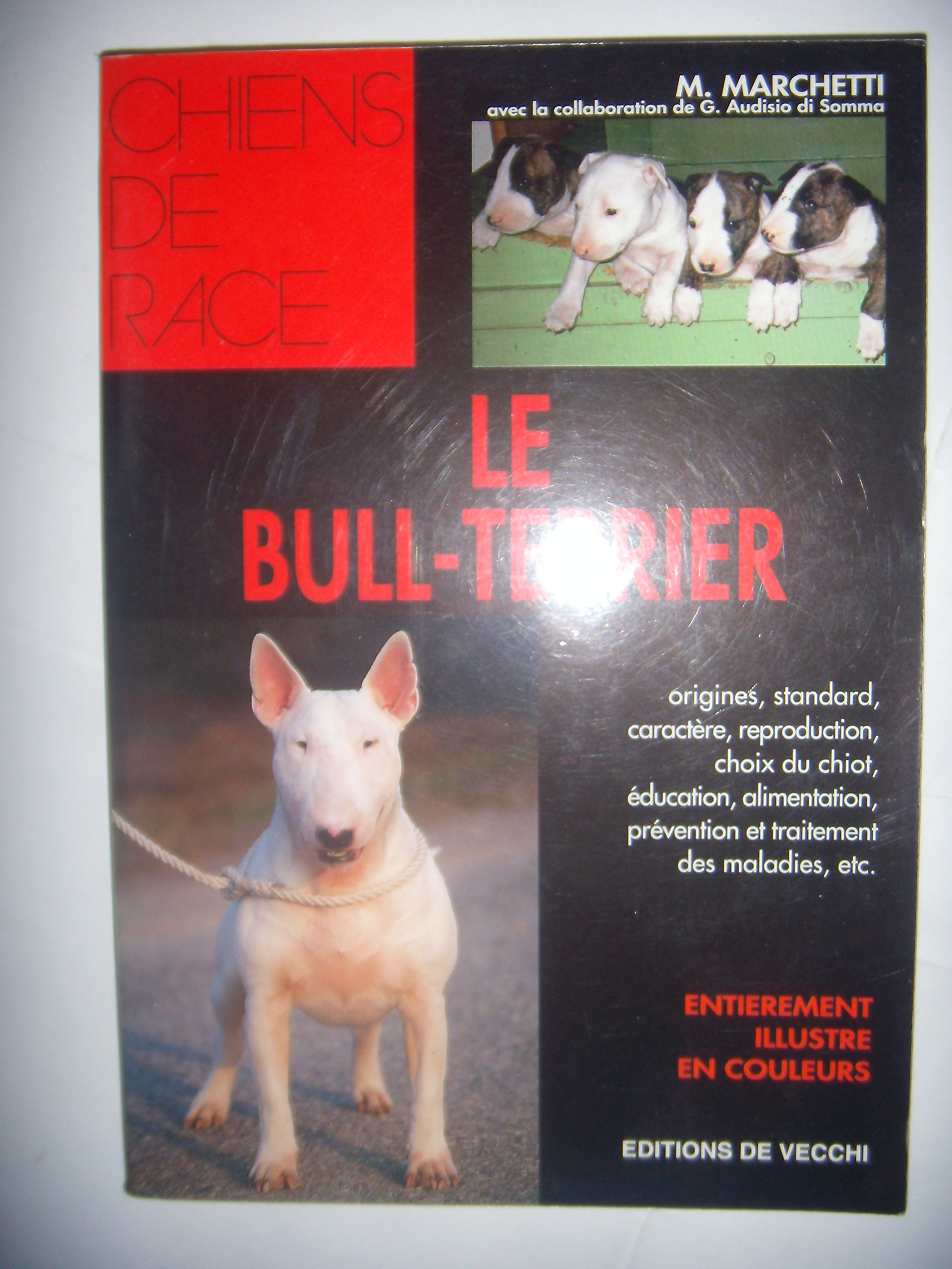 Le Bull-Terrier