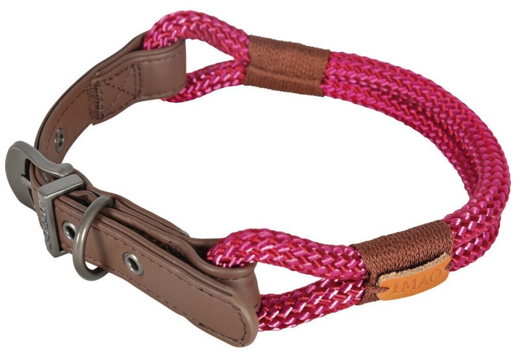Collier chien Zolux IMAO Hyde Park fuchsia 60 cm