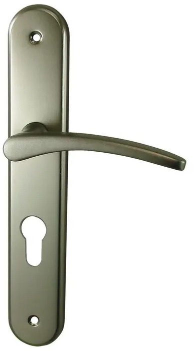 Poignées de porte DT2000 Valloire cylindre 195 mm
