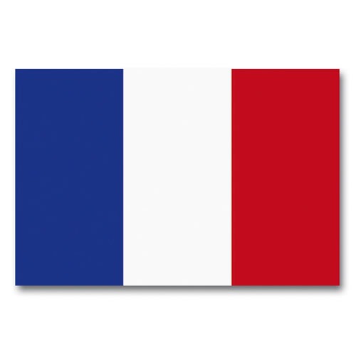 Drapeau France 90 x 150 cm Mil-Tec