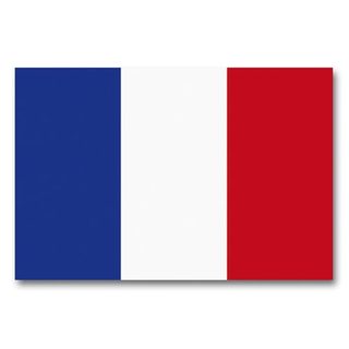 Drapeau France 90 x 150 cm Mil-Tec