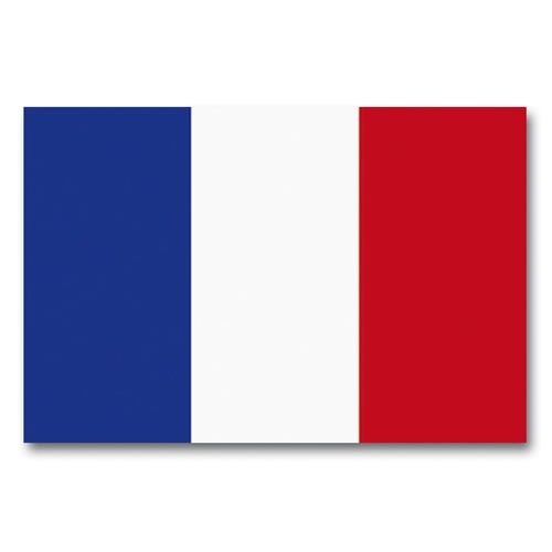 Drapeau France 90 x 150 cm Mil-Tec