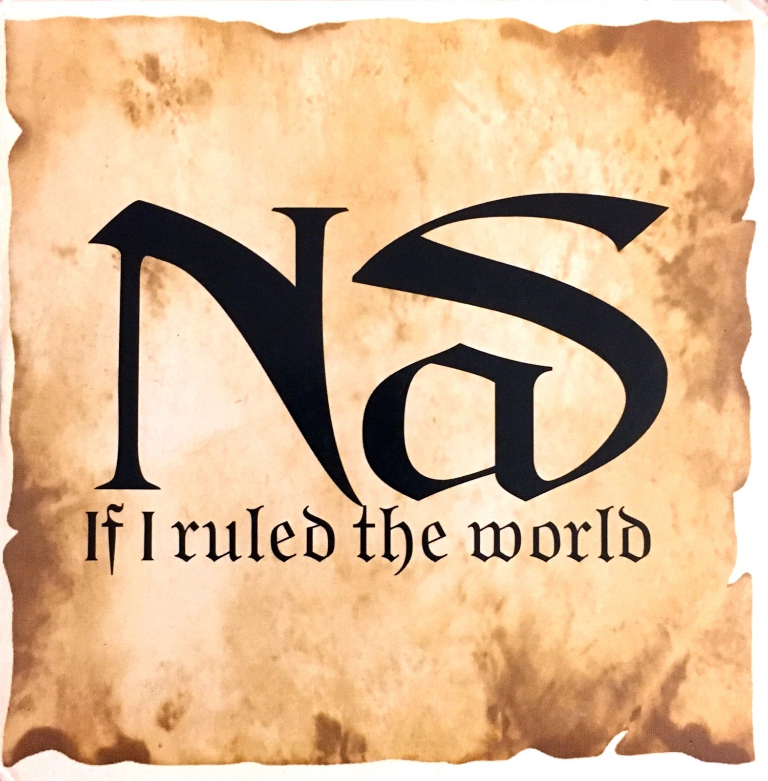 If I Ruled The World