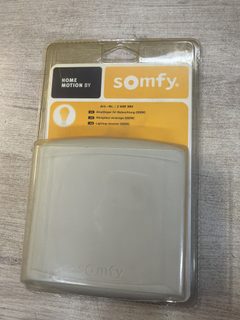 Somfy 2400583 Récepteur d'éclairage extérieur RTS 500 W