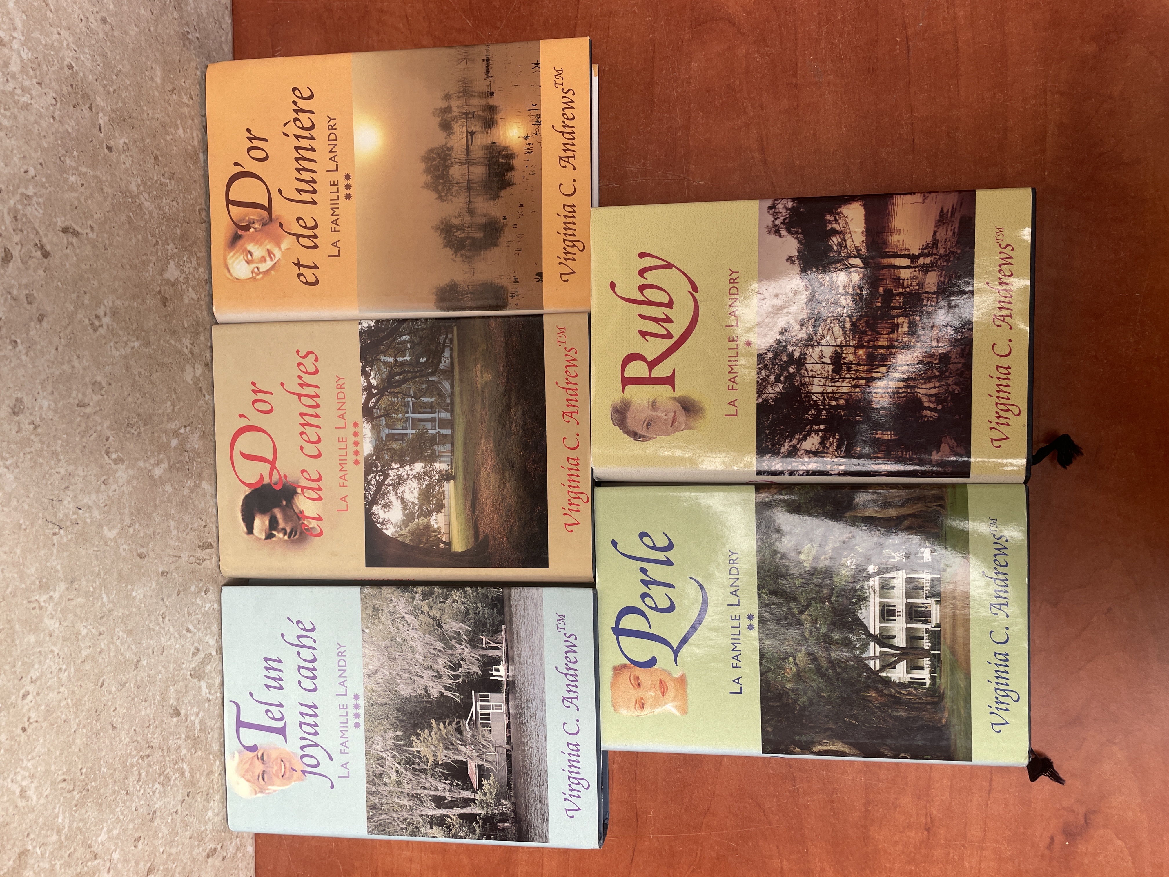 Lot 5 romans La Famille Landry Virginia C. Andrews