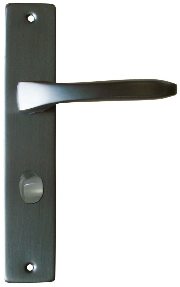 Poignées de porte DT 2000 Lunel gris carbone condamnation 195 mm
