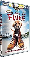Fluke