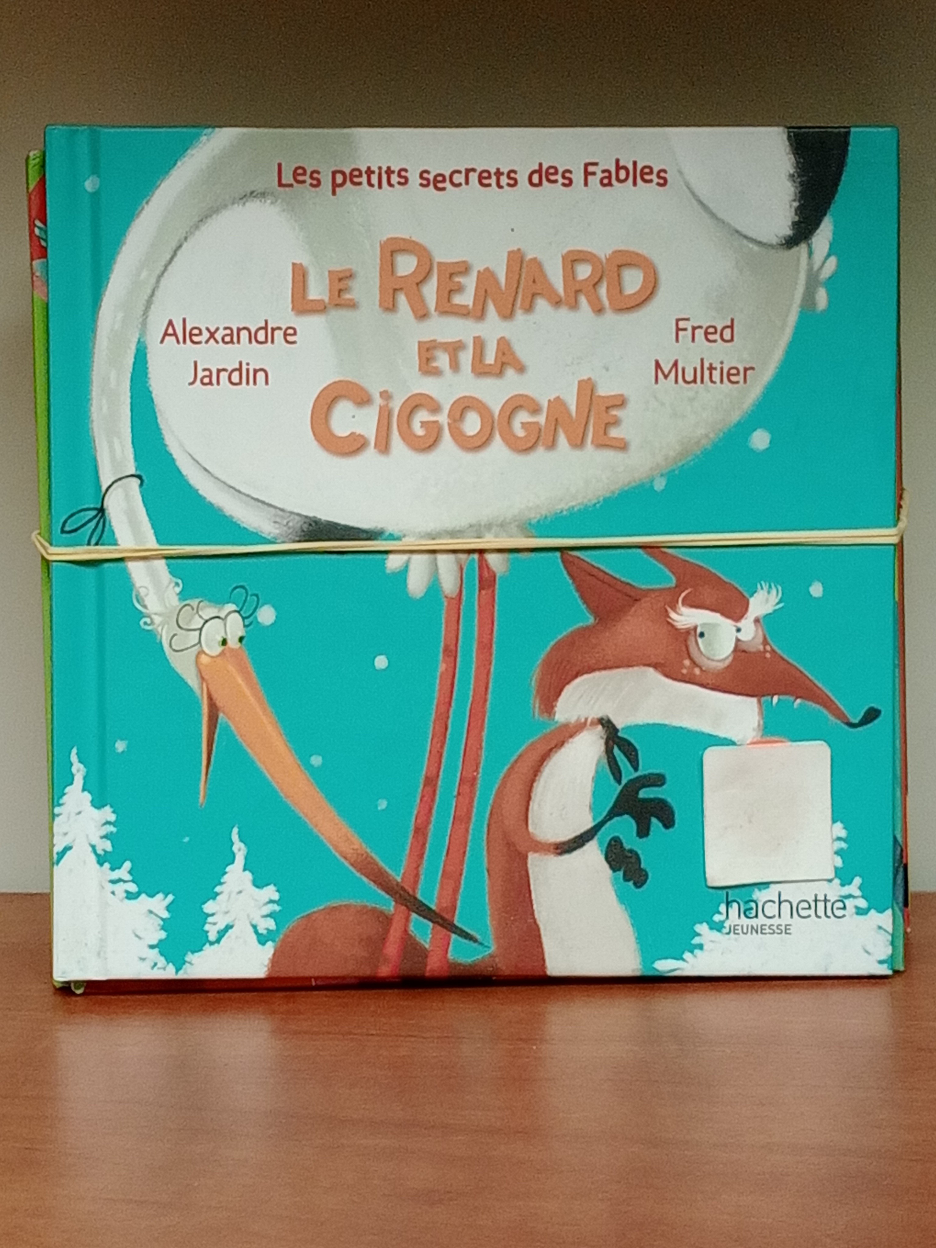 Lot de 12 livres jeunesse illustrés