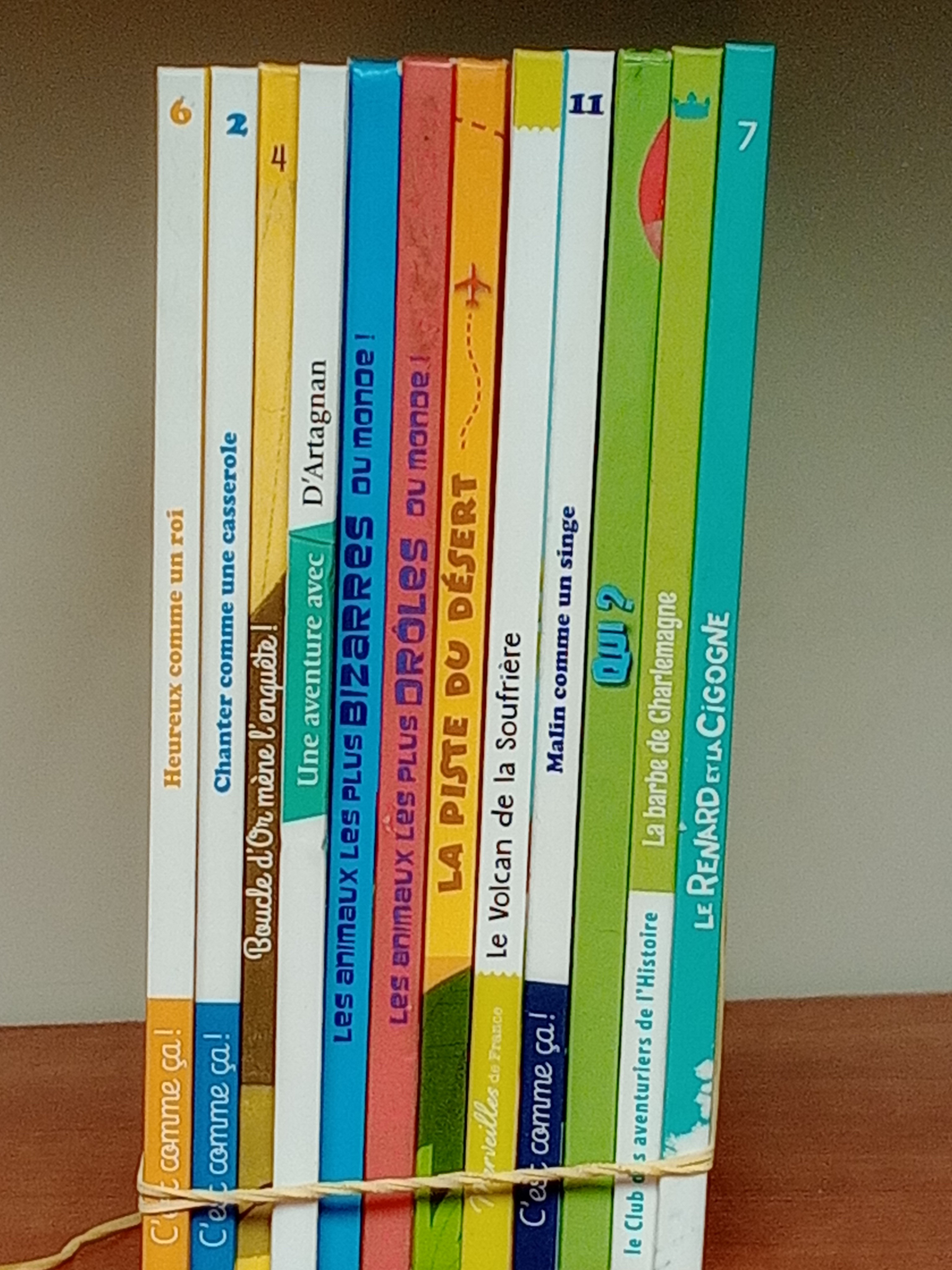 Lot de 12 livres jeunesse illustrés — photo 2