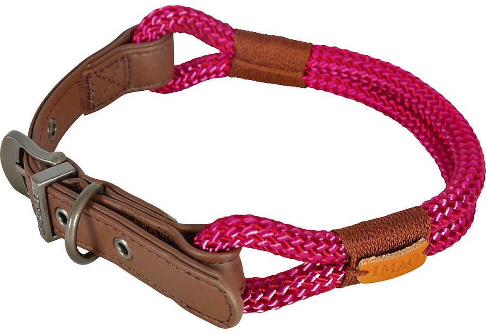 Collier chien Zolux IMAO Hyde Park fuchsia 40 cm 6 mm